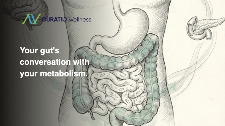 wellnesslibrary010326