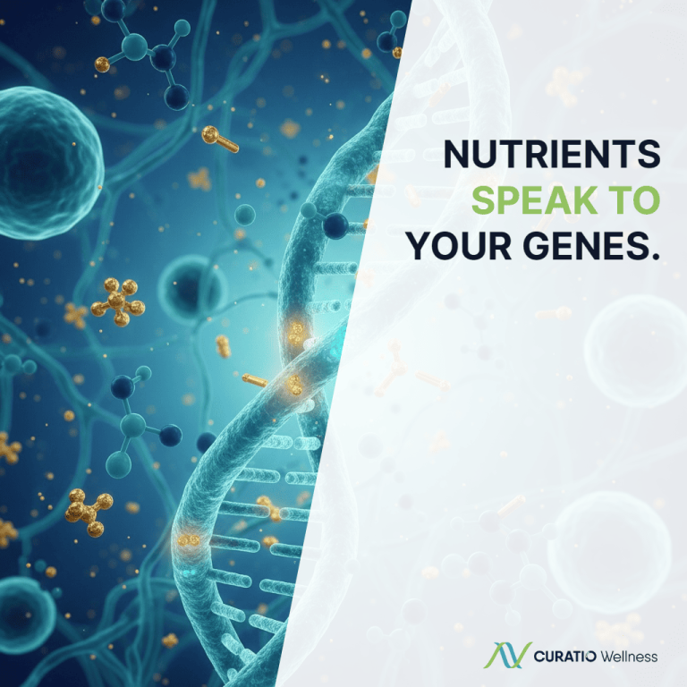 wellnesslibrary010426