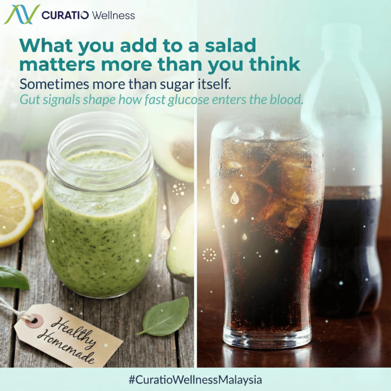 wellnesslibrary030126