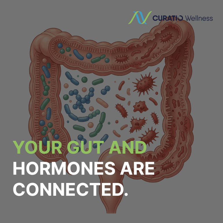 wellnesslibrary060426