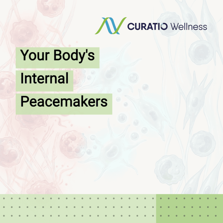 wellnesslibrary070326