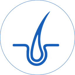 Hair Root Icon
