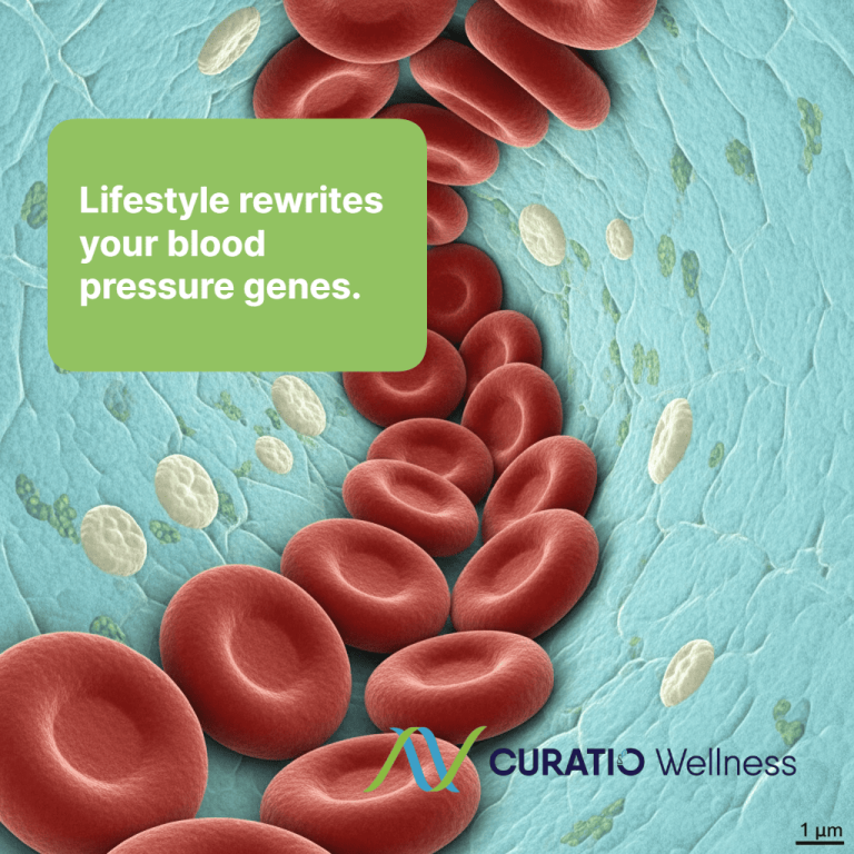 wellnesslibrary020526