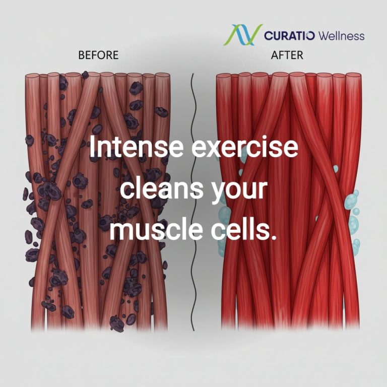 wellnesslibrary020626