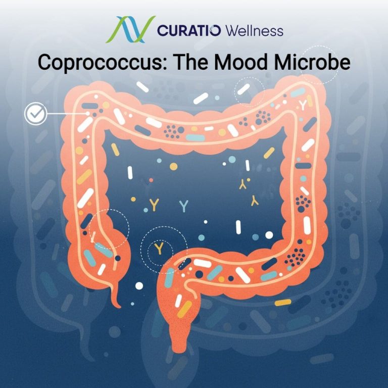 wellnesslibrary030626