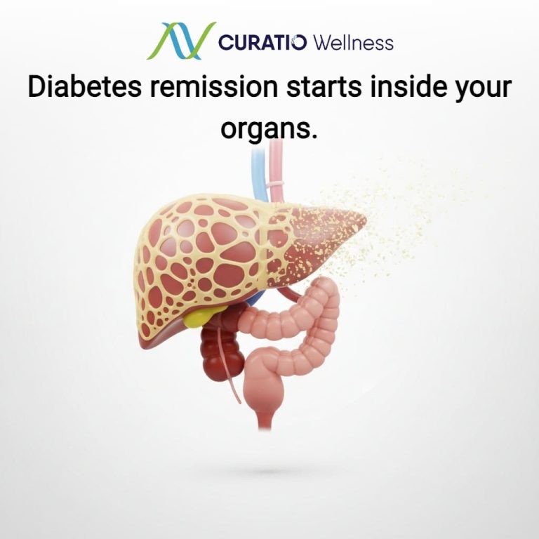 wellnesslibrary040626