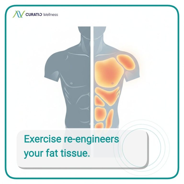 wellnesslibrary060626