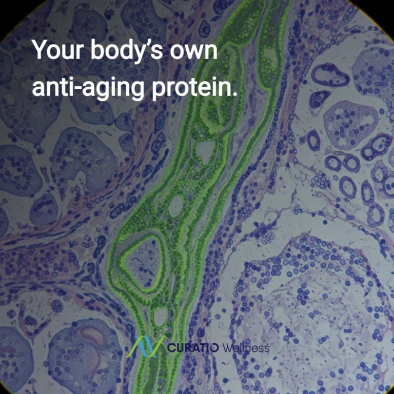 wellnesslibrary240626